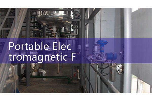 Portable electromagnetic flowmeter